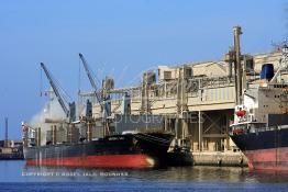 Image du Maroc Professionnelle de  Chargement d'un bateau avec du phosphates au port de Casablanca sur les quai du Groupe OCP (L'Office chérifien des phosphates). Le Groupe OCP est une Société anonyme fondée en 1920 et domiciliée au Maroc. Groupe OCP est le leader mondial des exportations des phosphates et produits dérivés, Lundi 24 Septembre 2007. (Photo / Abdeljalil Bounhar) 